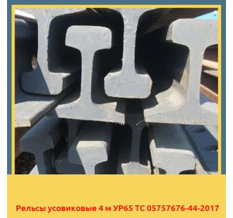 Рельсы усовиковые 4 м УР65 ТС 05757676-44-2017 в Таласе